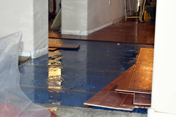 Professional Sewage Cleanup technician working in Rochester, MA